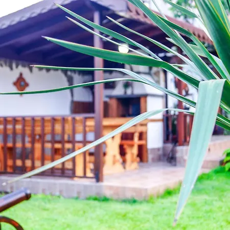 Pensionat Chrystal Obzor